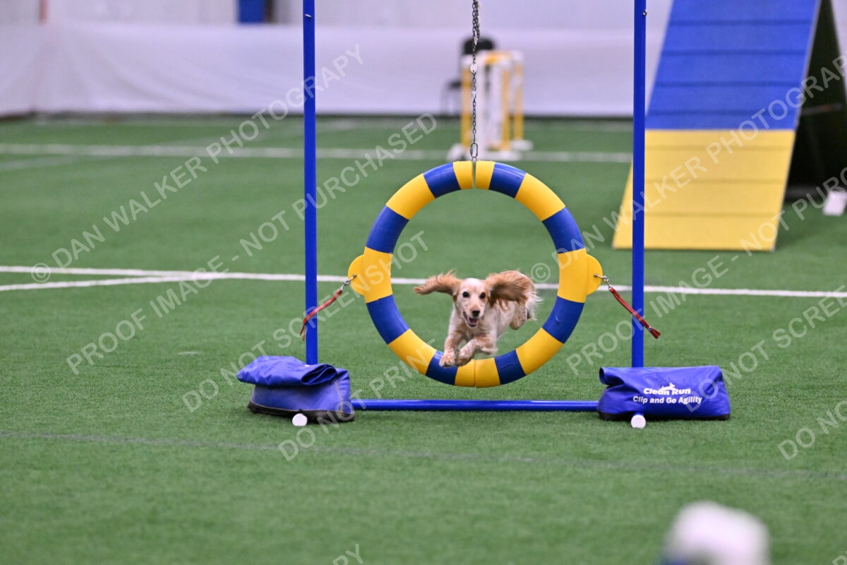 DJW_6776