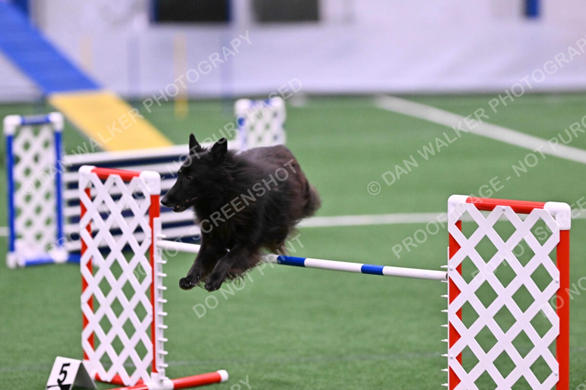 DJW_2865
