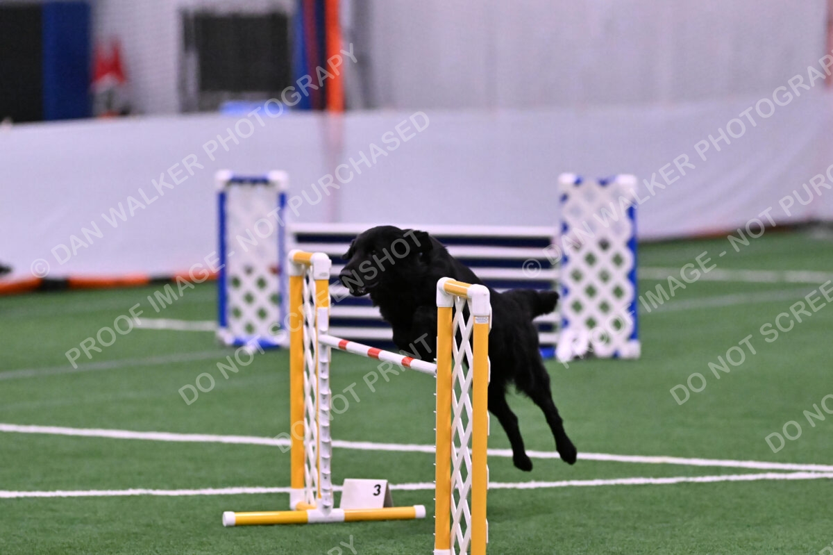 DJW_0562