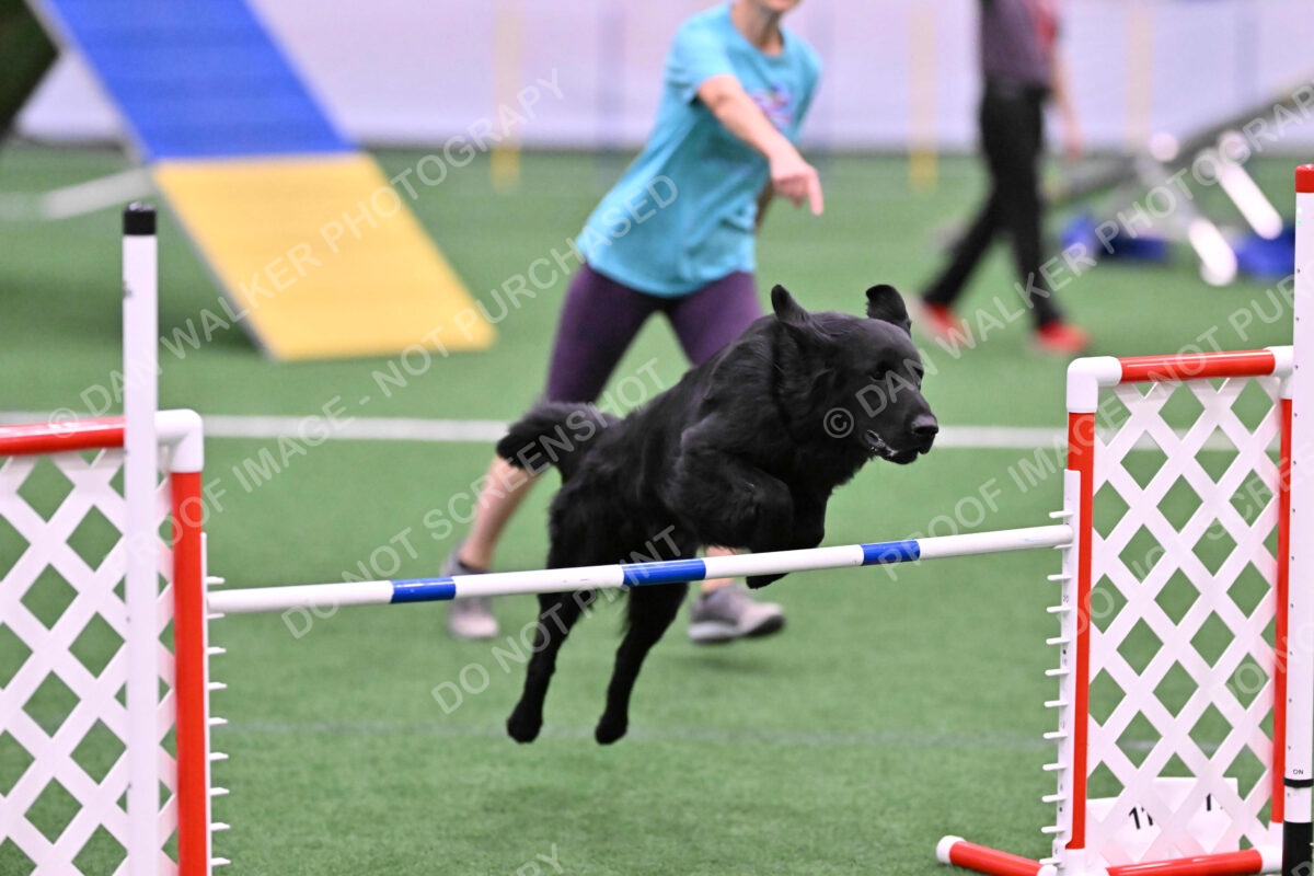 DJW_0576