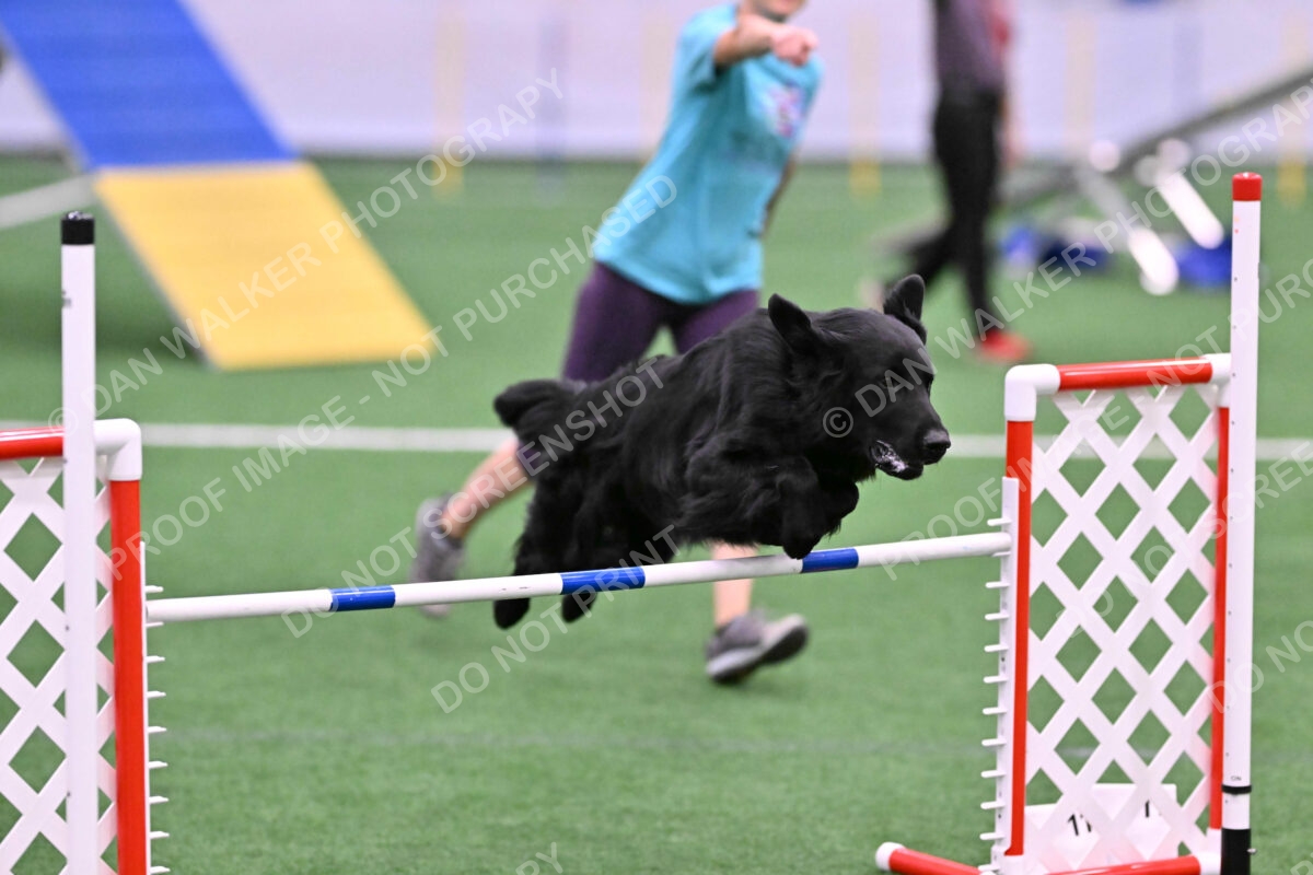 DJW_0577