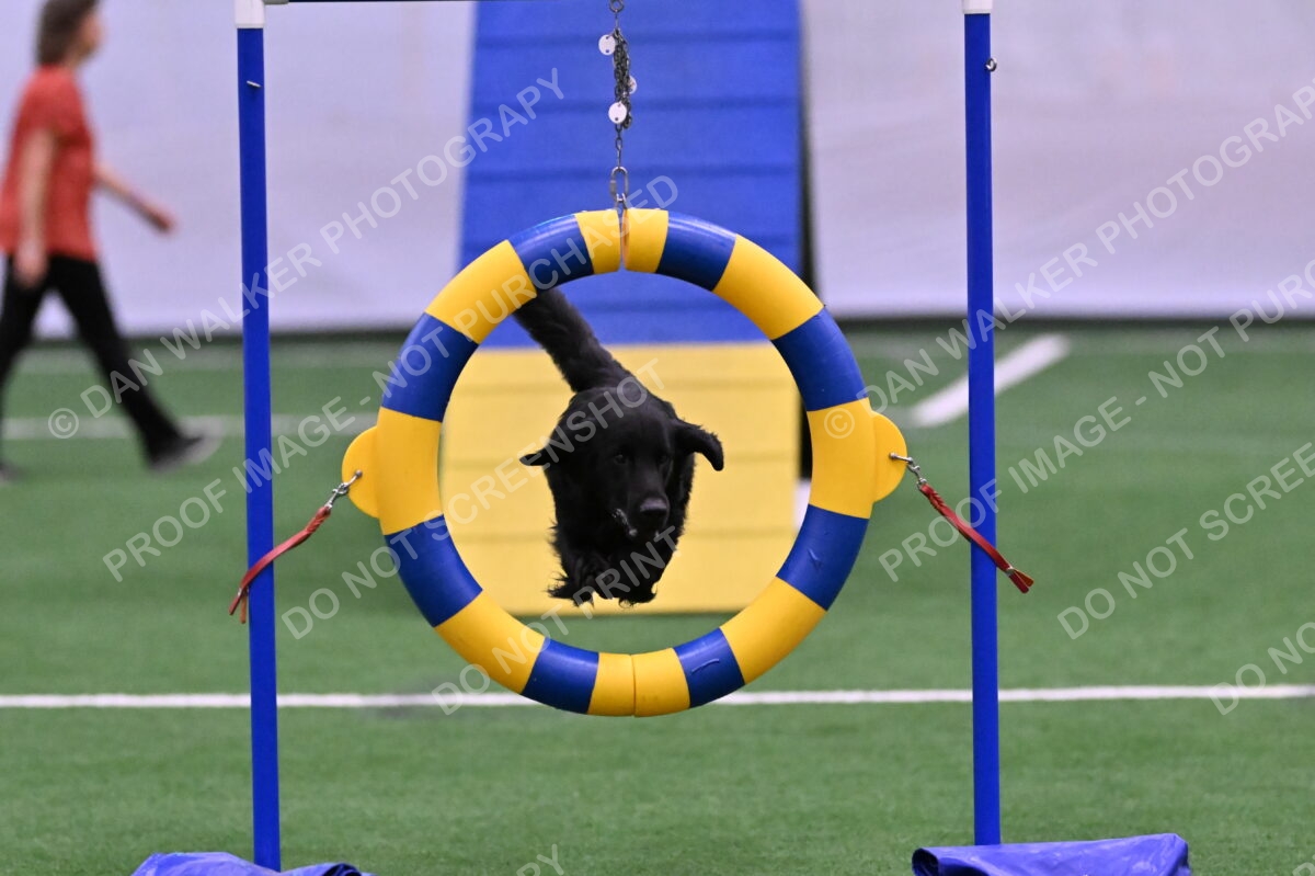 DJW_8948