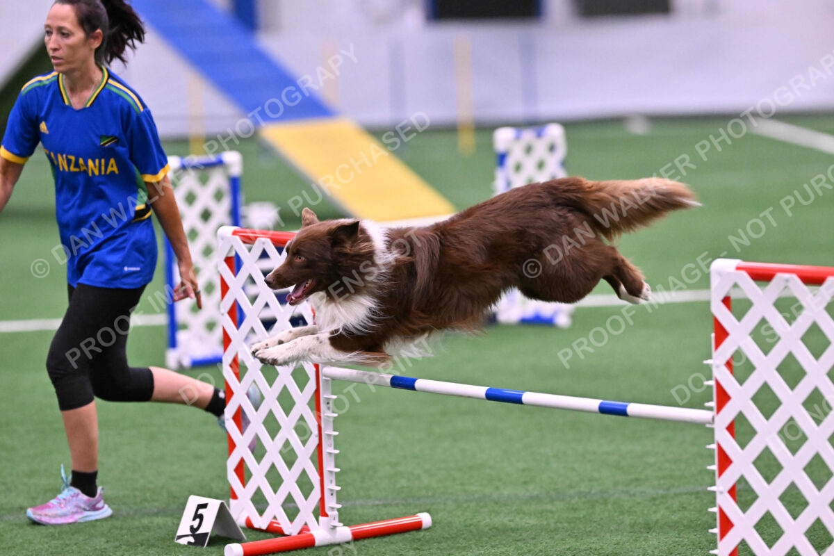 DJW_2194