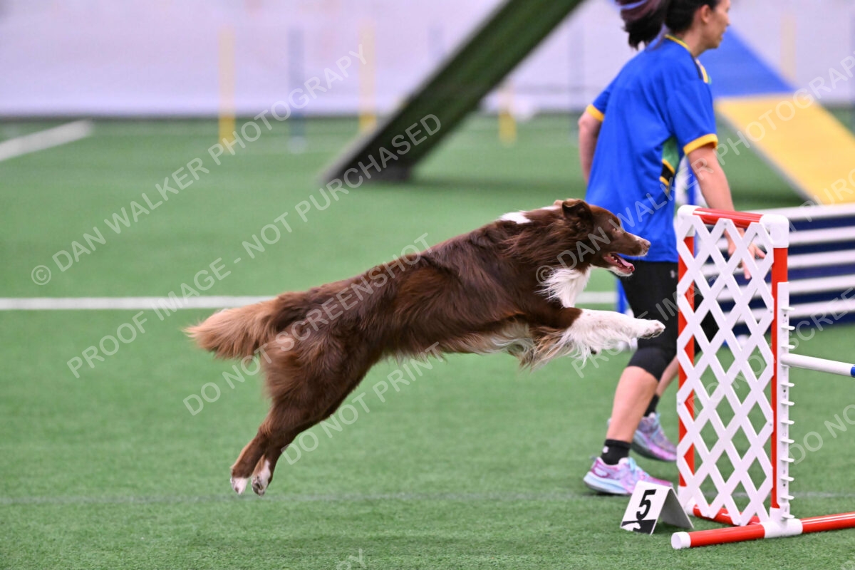 DJW_2196