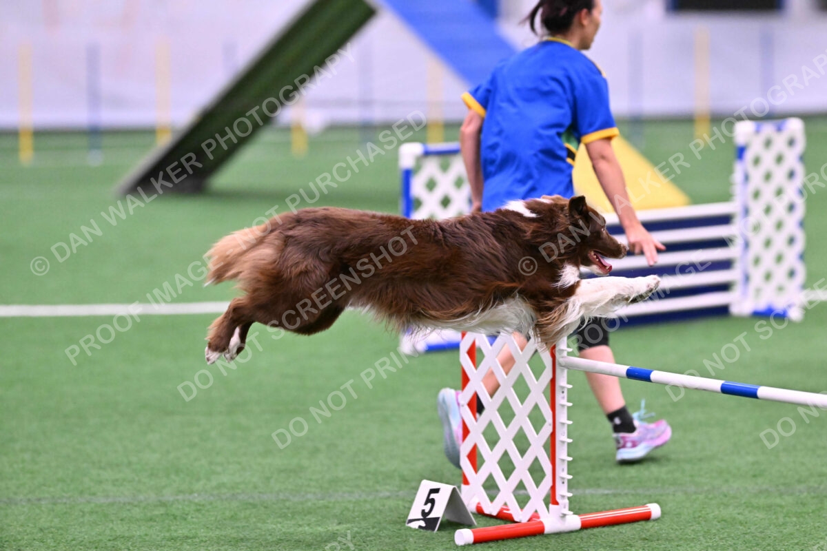 DJW_2198