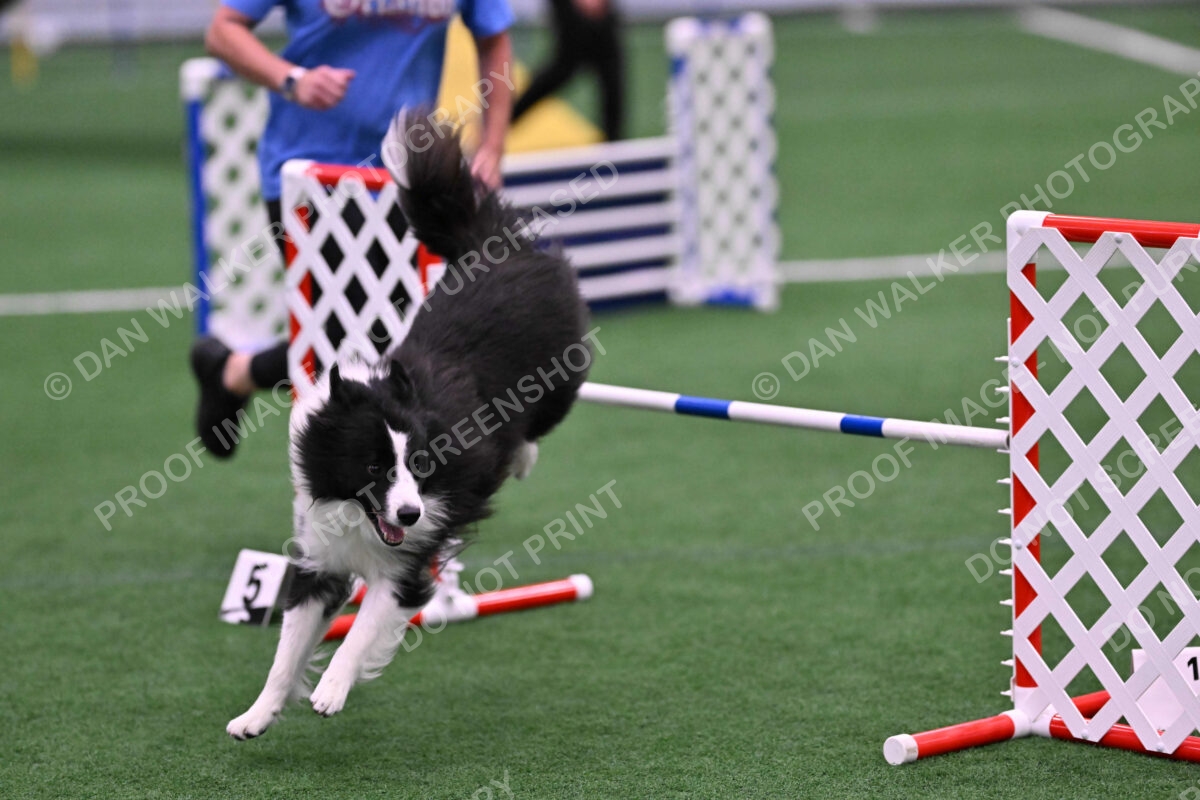 DJW_2014