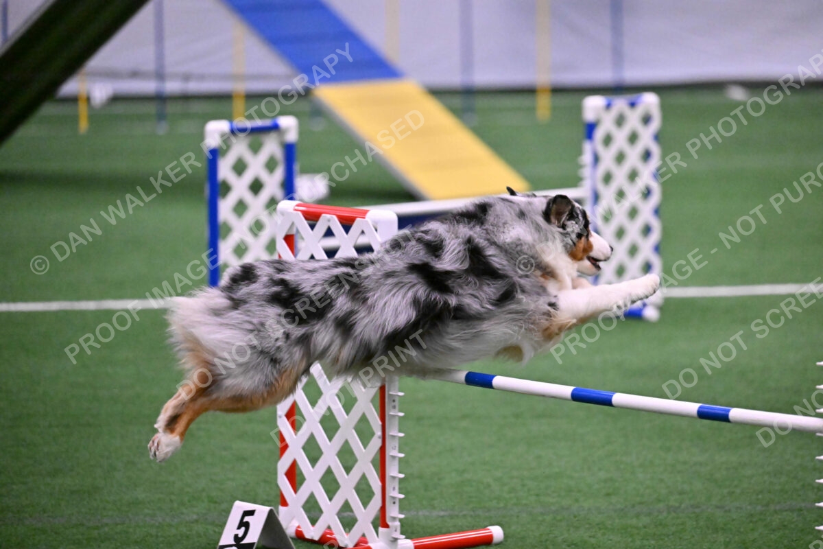 DJW_2153