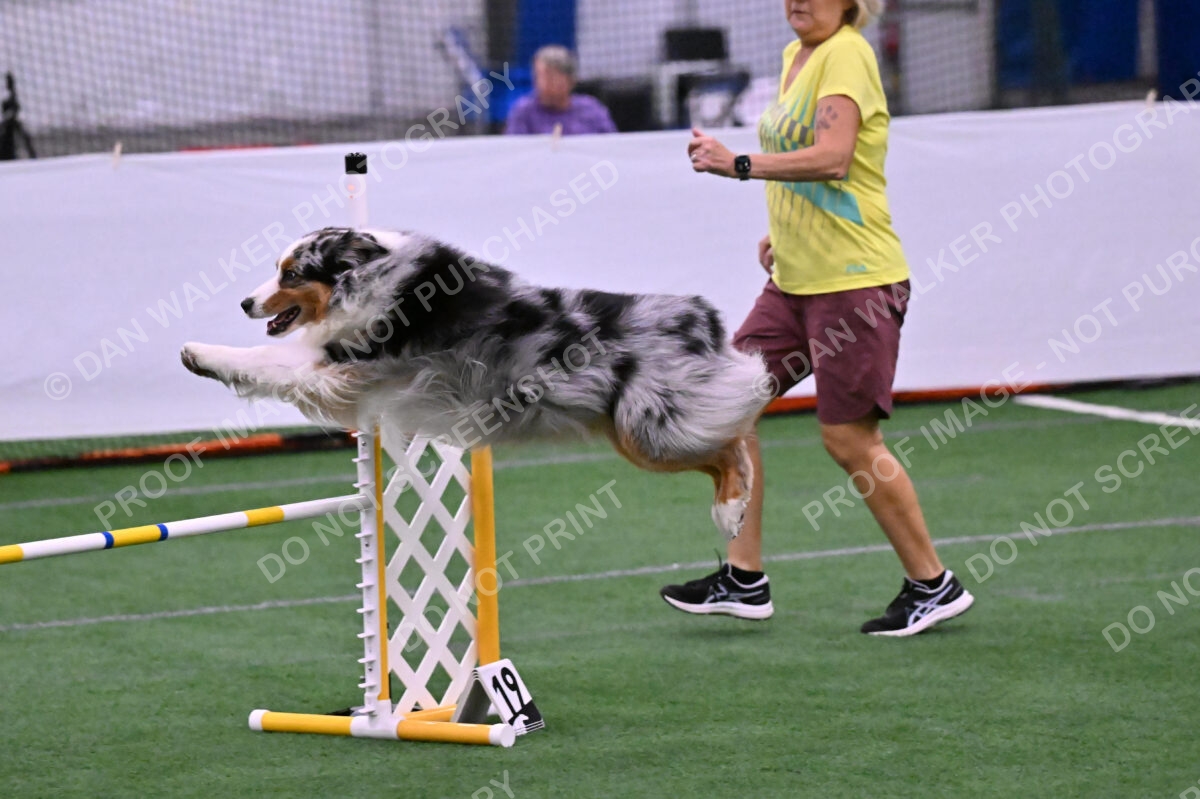 DJW_2165