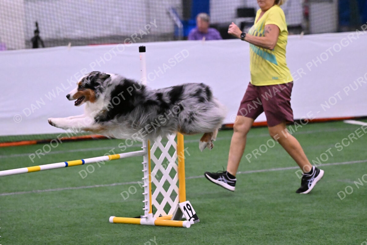 DJW_2166