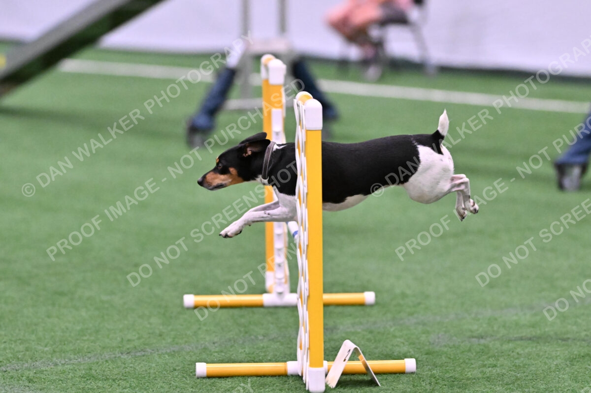 DJW_1579