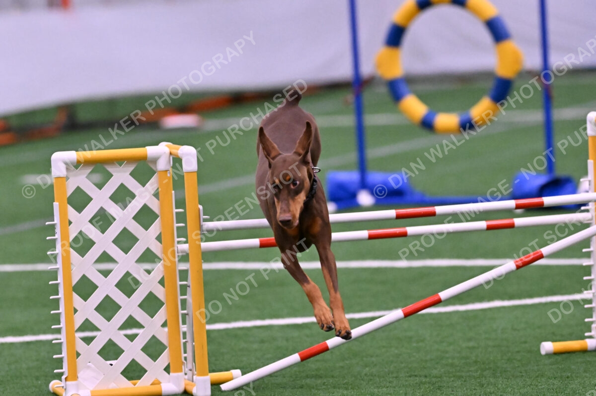 DJW_2622