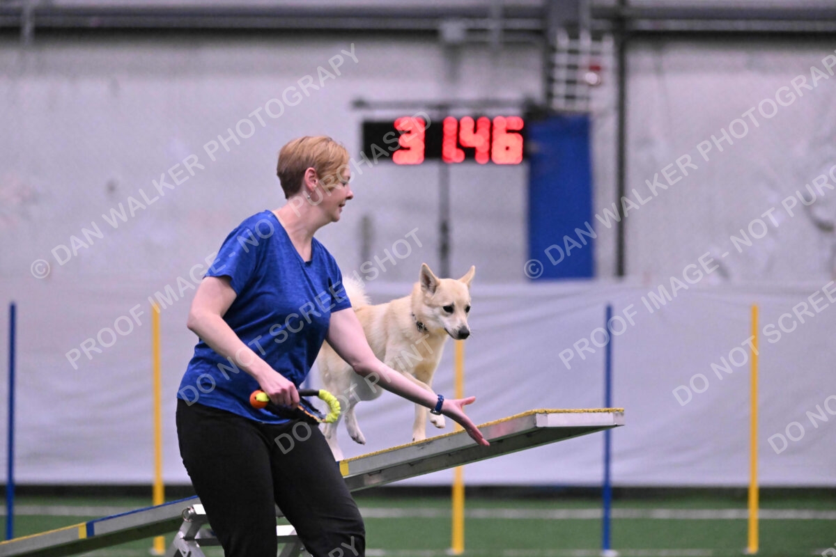 DJW_2984