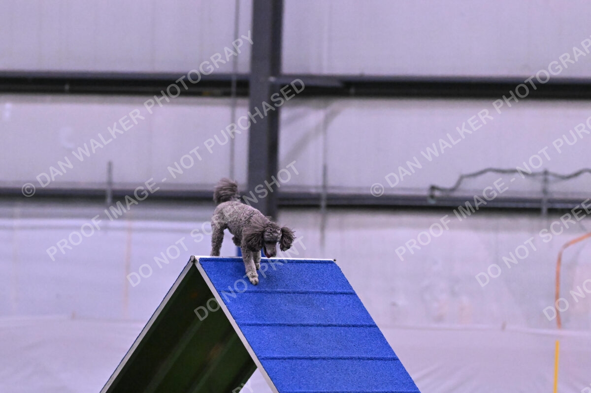 DJW_0123