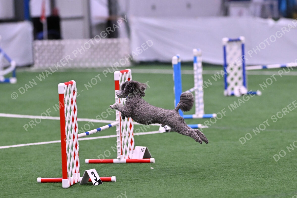 DJW_3723