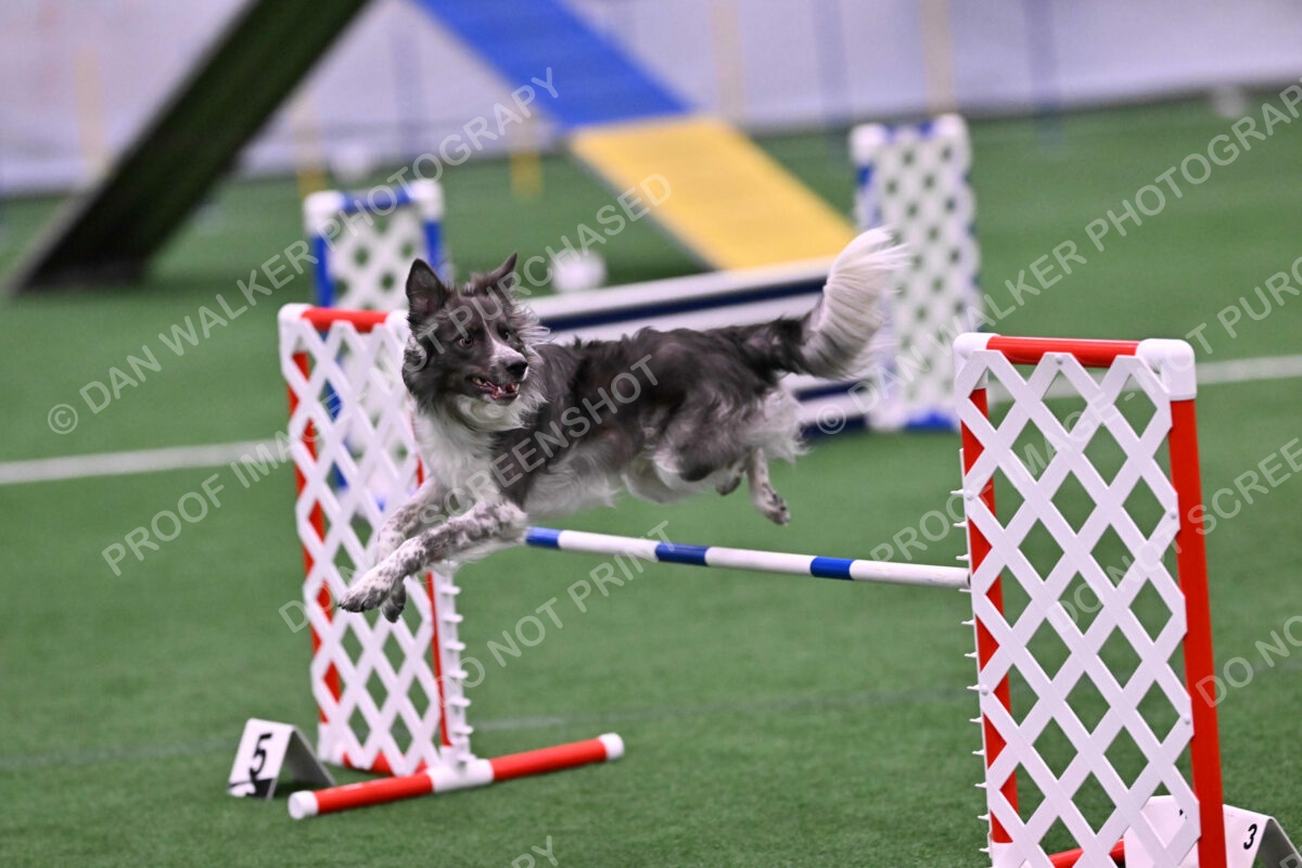 DJW_2483