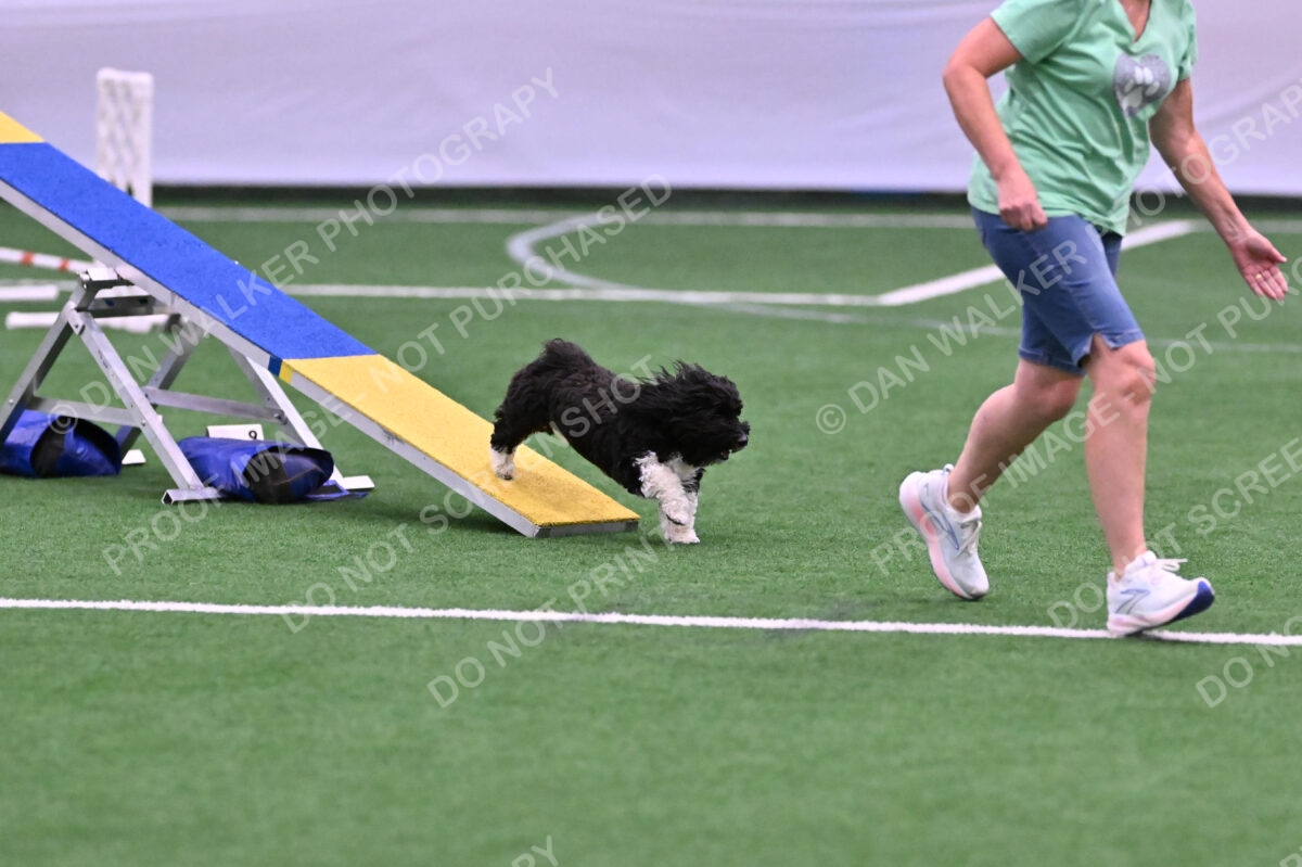 DJW_0770