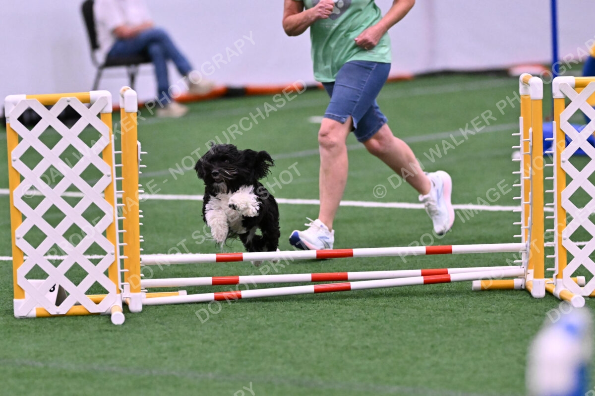 DJW_0778
