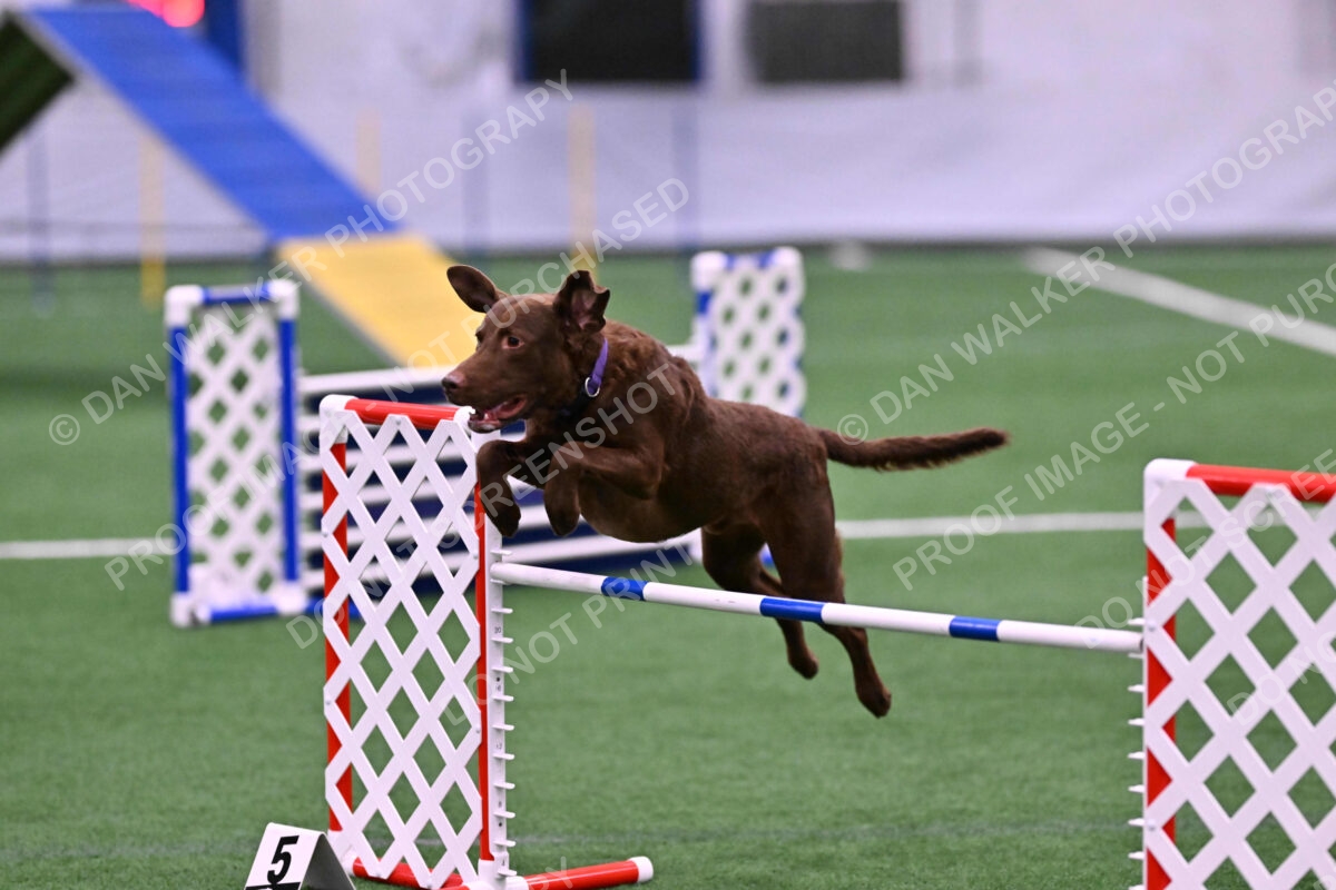 DJW_2731