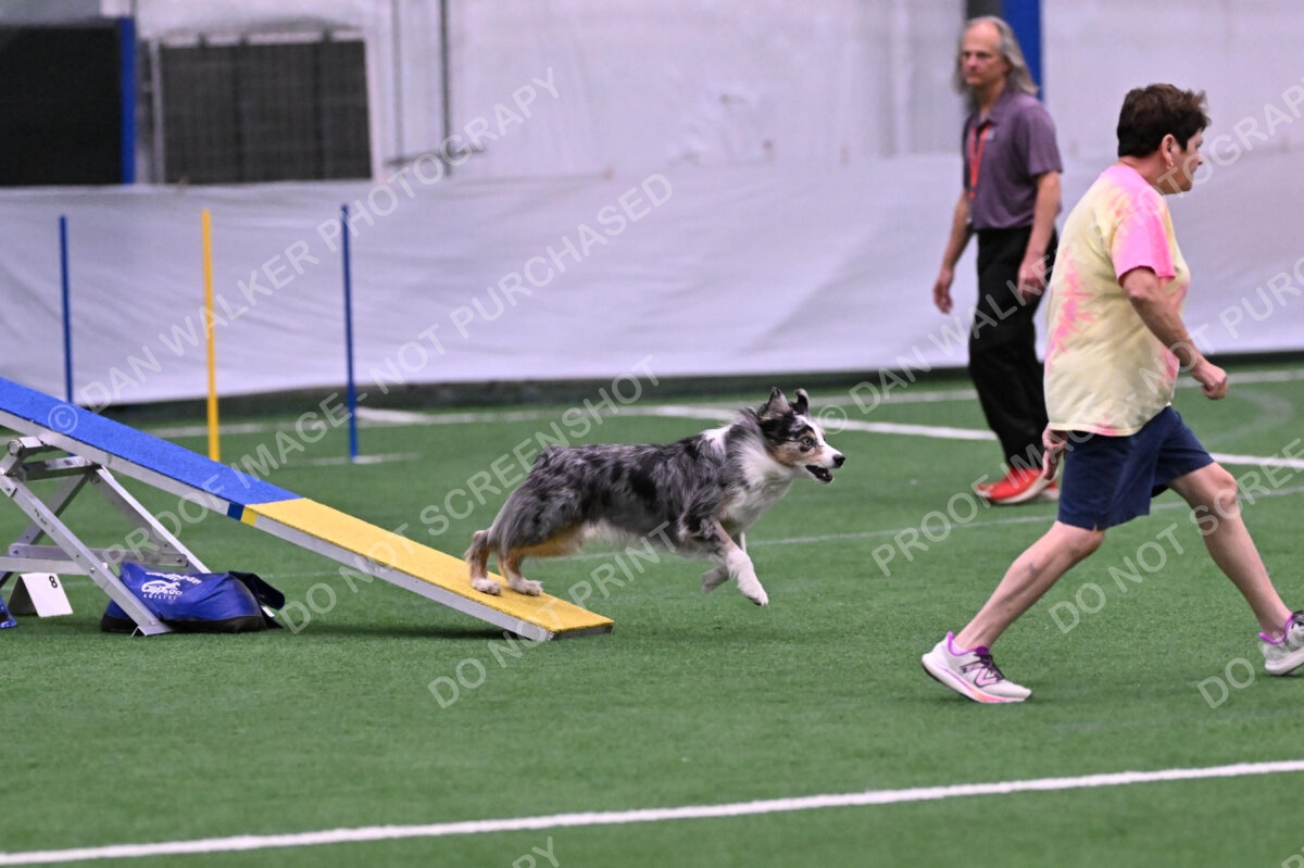 DJW_3826