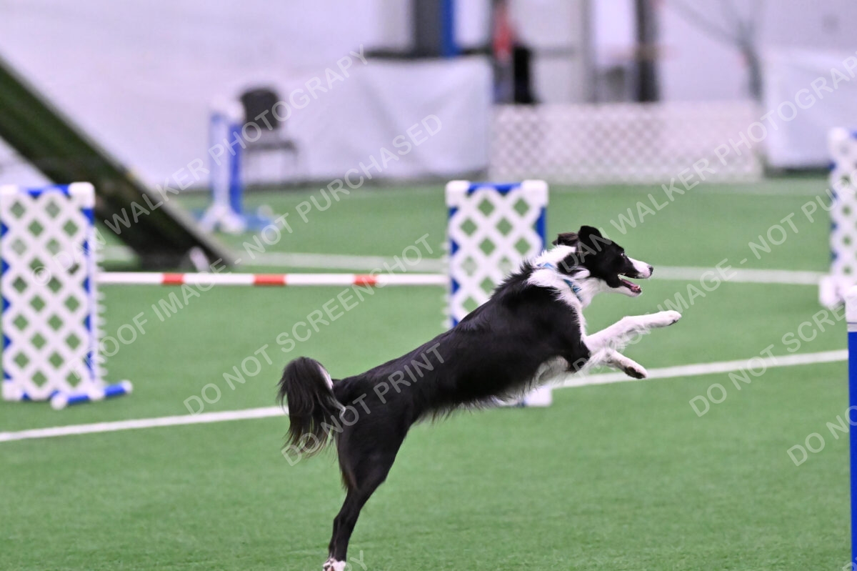 DJW_9749