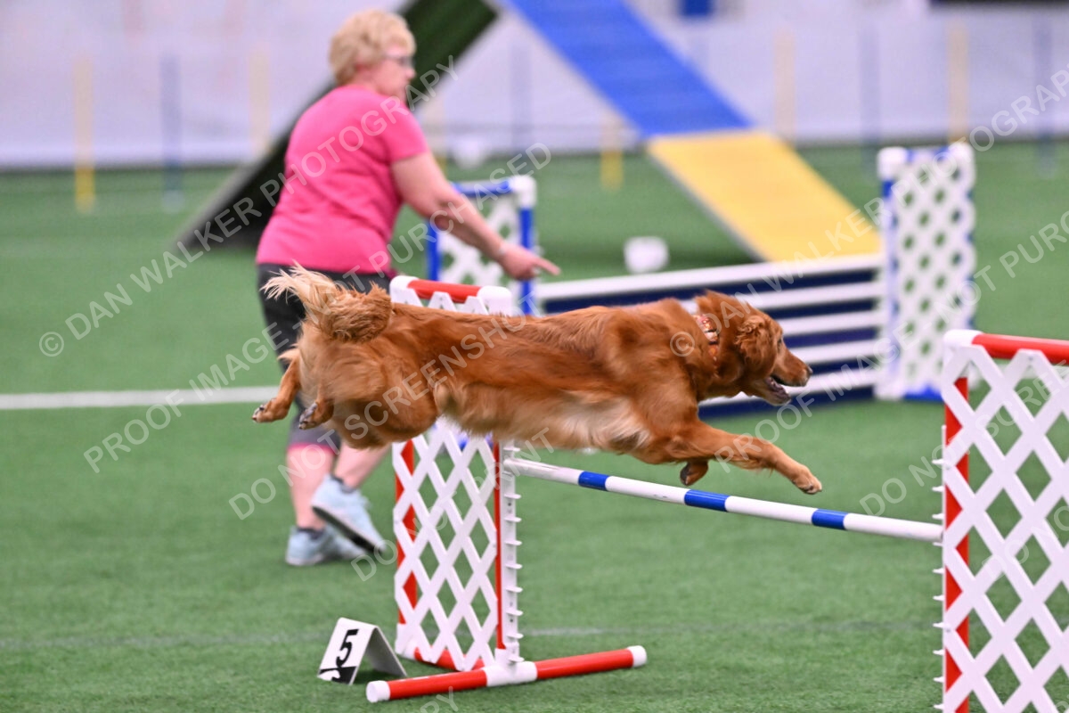 DJW_2533