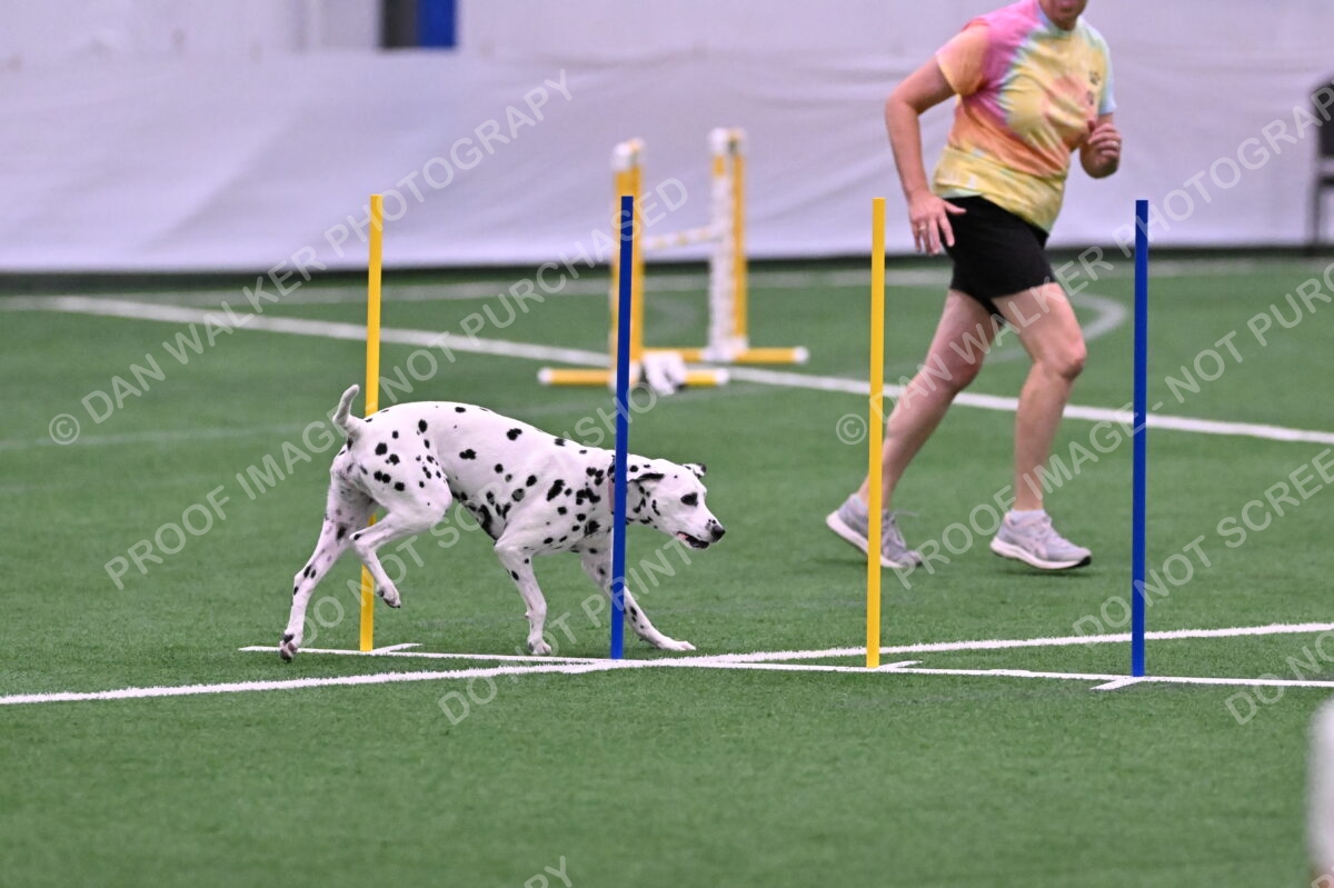 DJW_9806