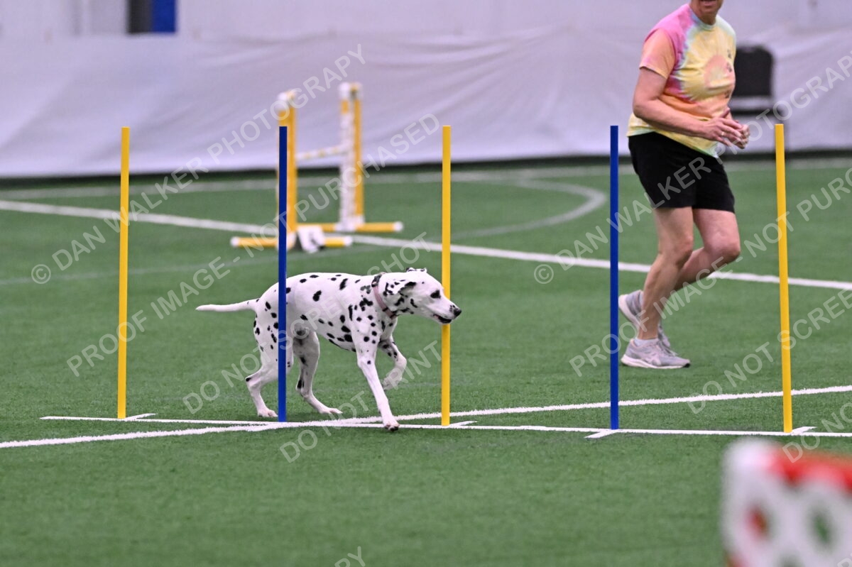 DJW_9808