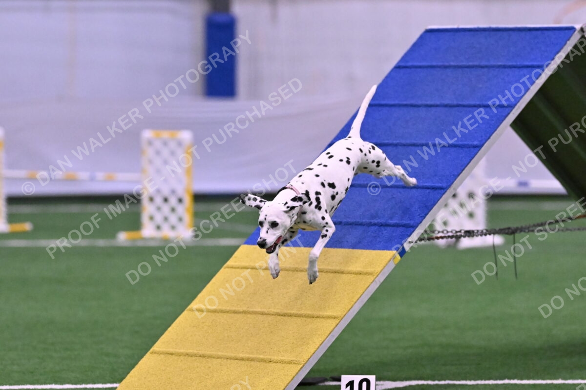 DJW_9860