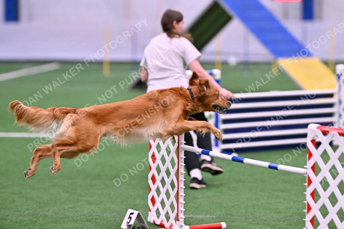 DJW_2687