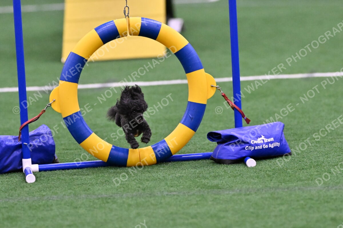 DJW_5840