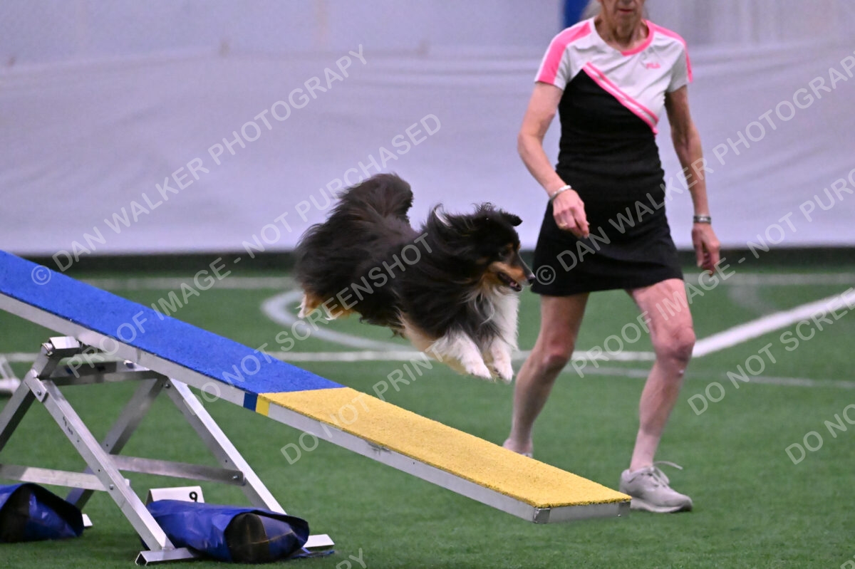 DJW_1217