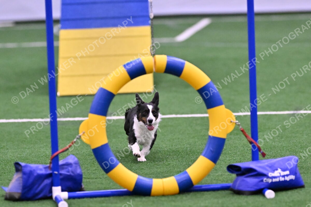 DJW_5895