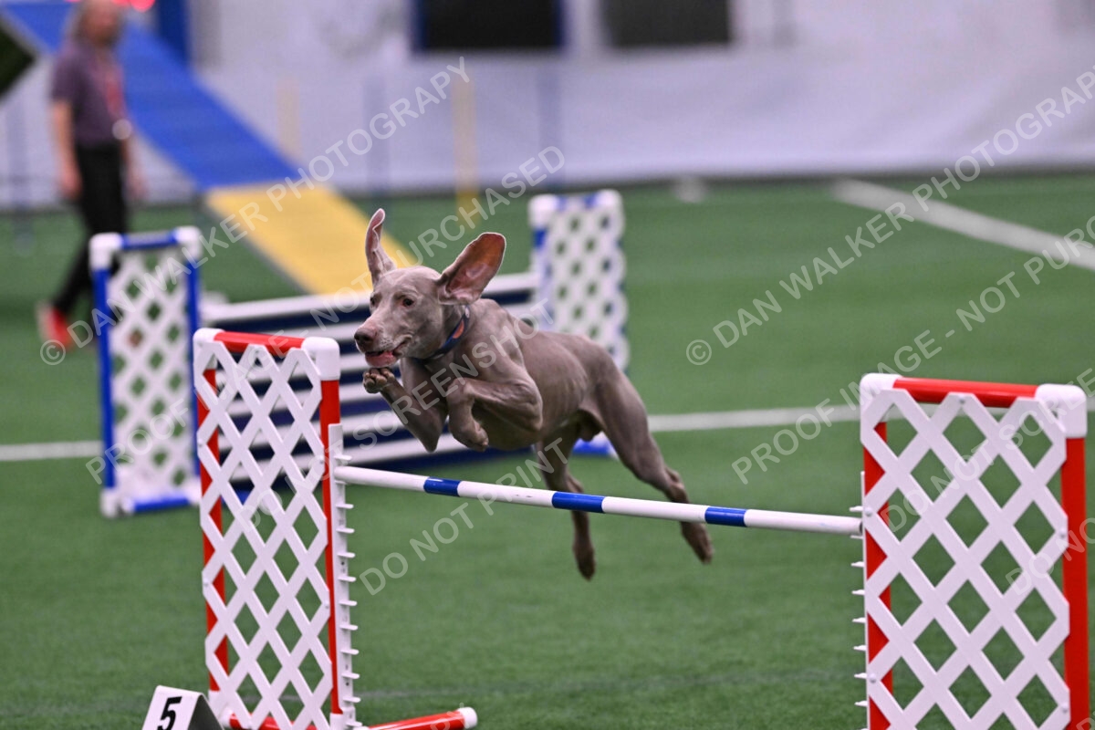 DJW_2719
