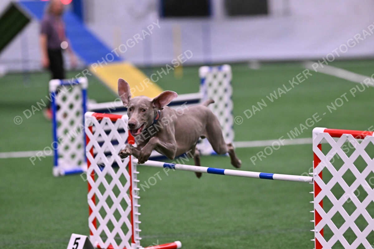 DJW_2720