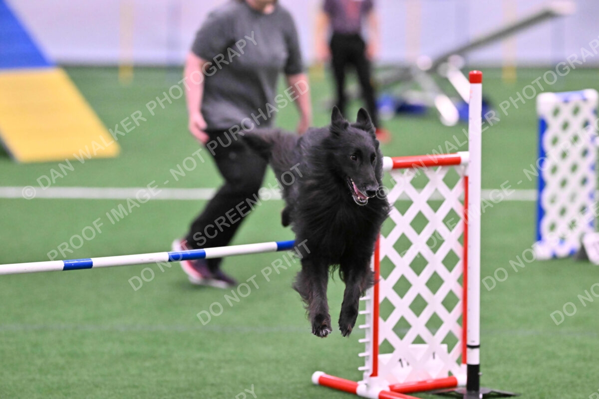 DJW_0611