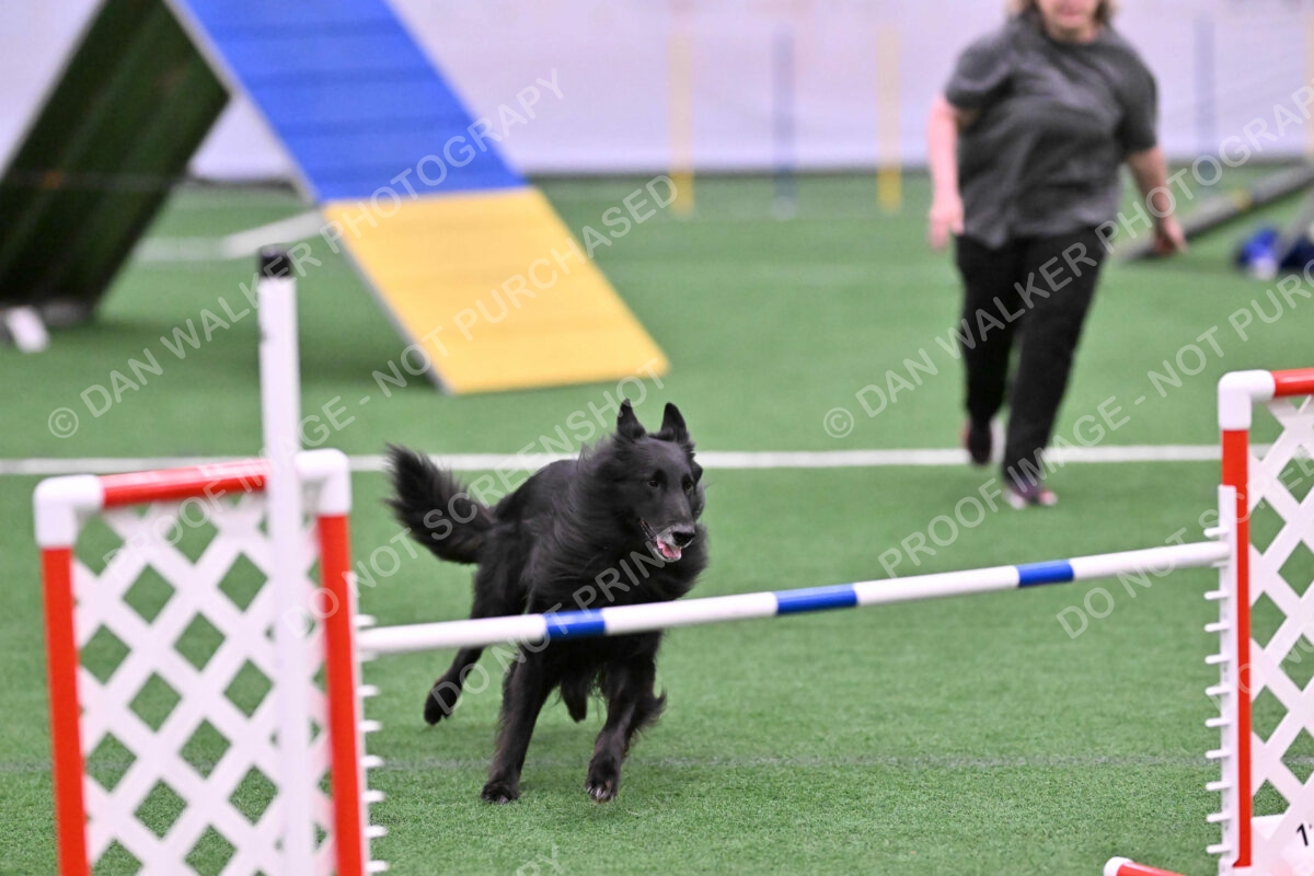 DJW_0621
