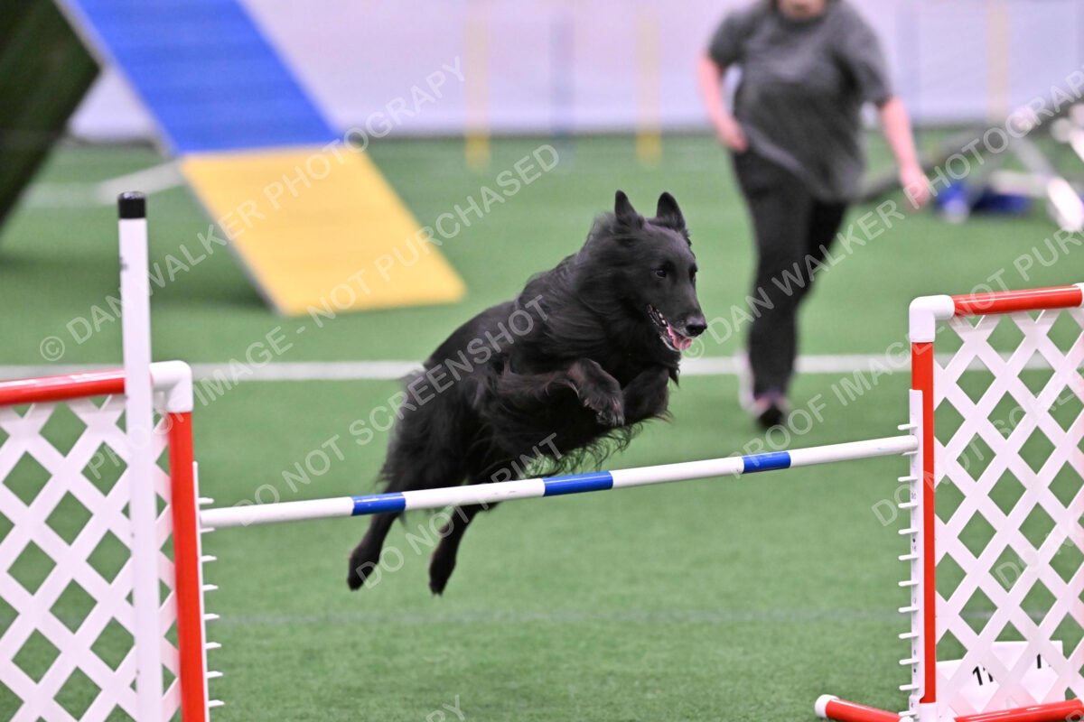 DJW_0625