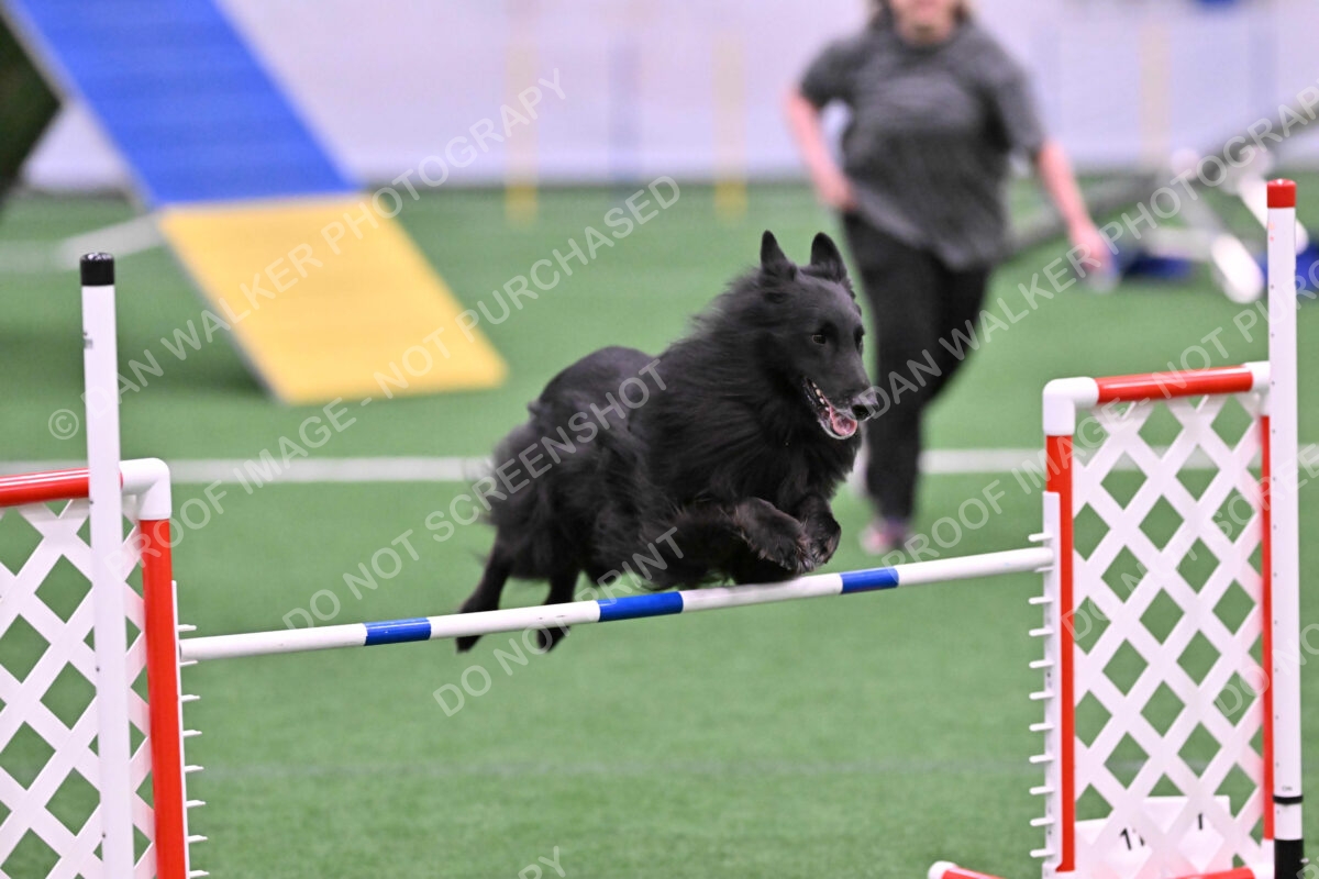 DJW_0626