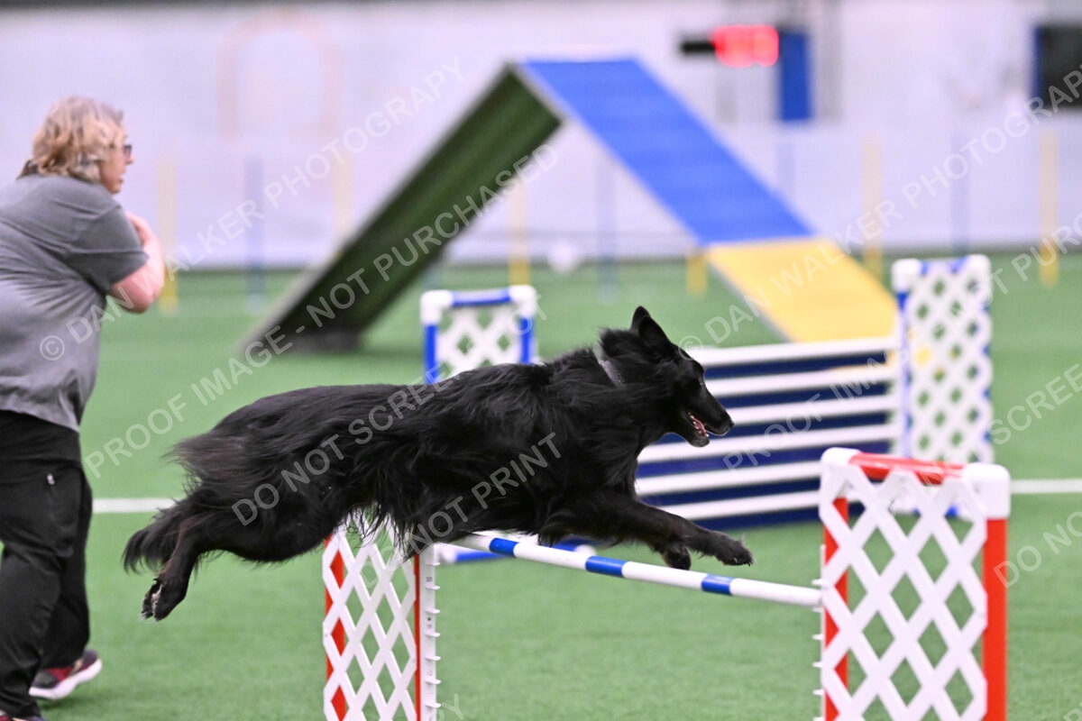 DJW_2833