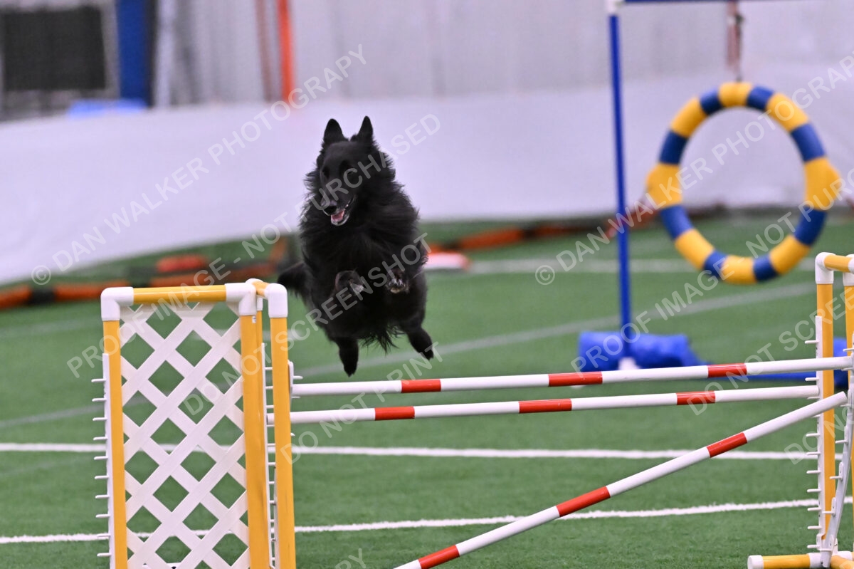 DJW_2846