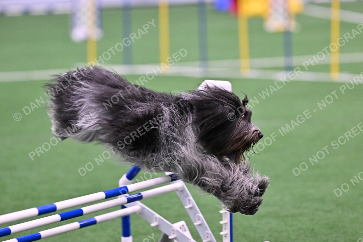DJW_8191