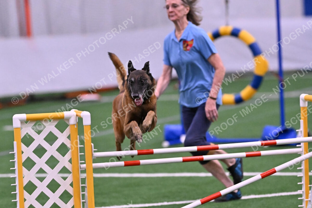 DJW_2811