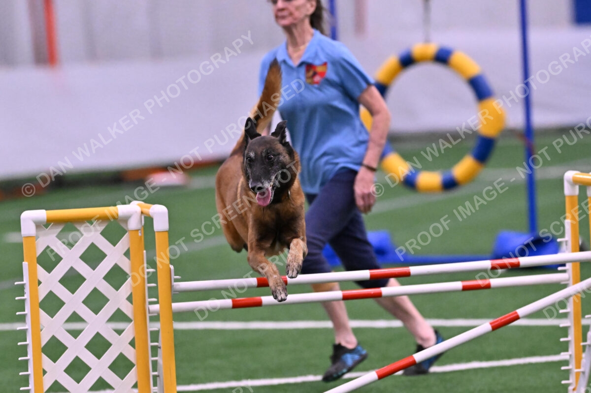 DJW_2812