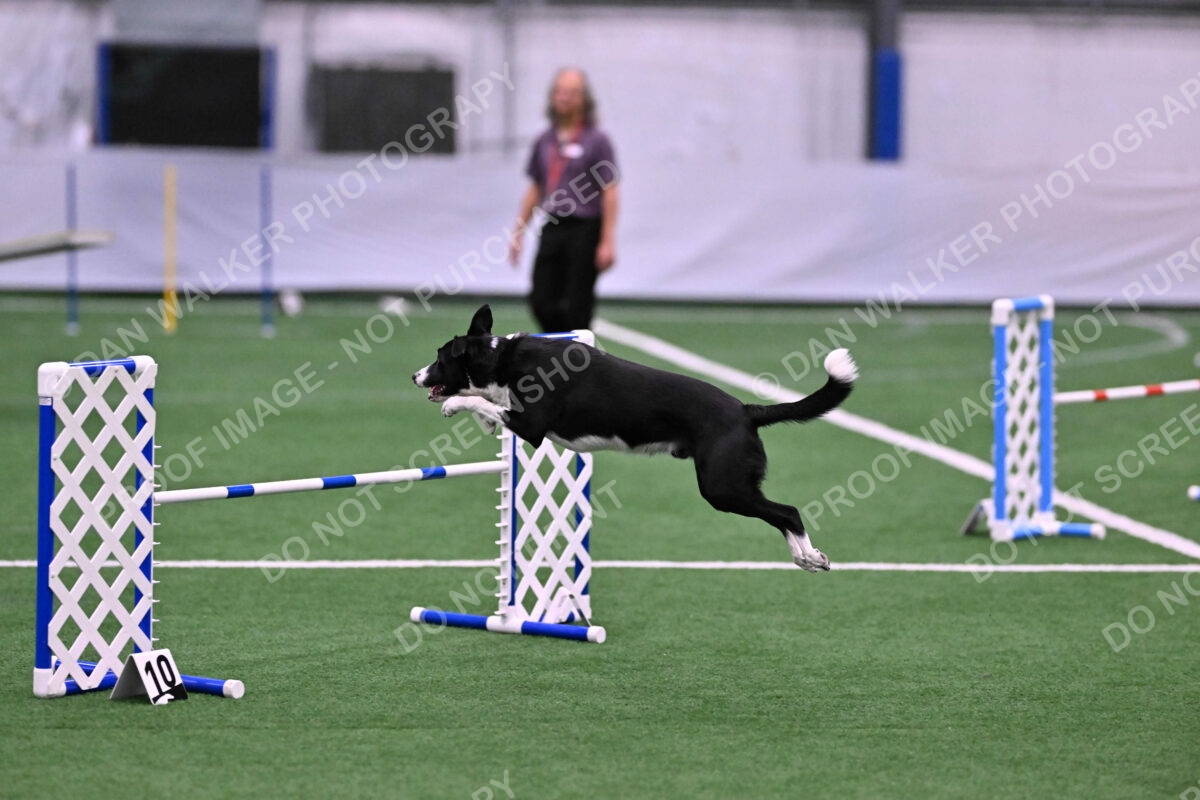 DJW_0492