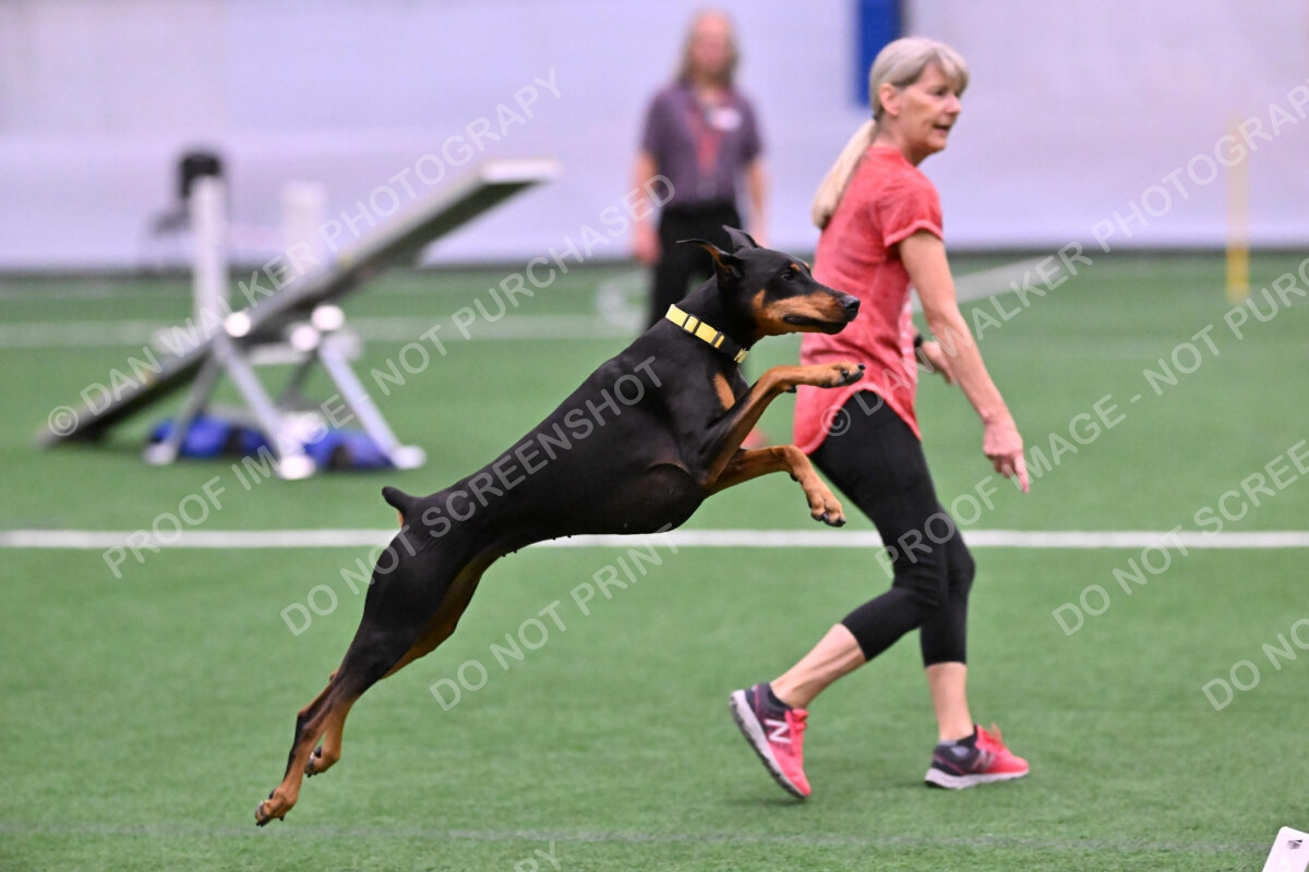 DJW_2584