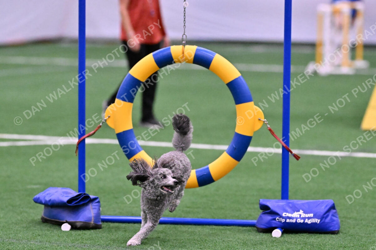 DJW_7639