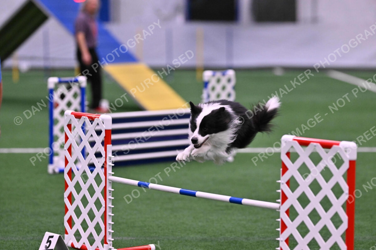 DJW_2432