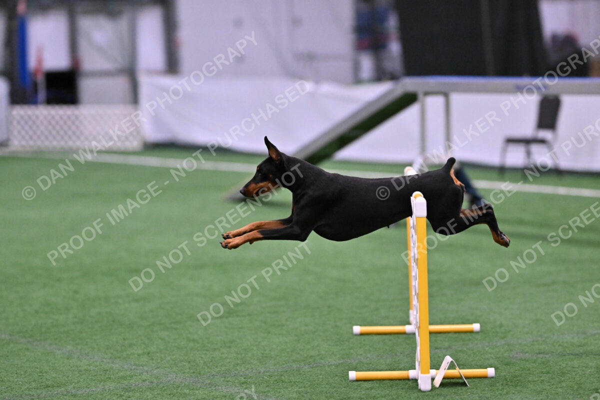 DJW_2656
