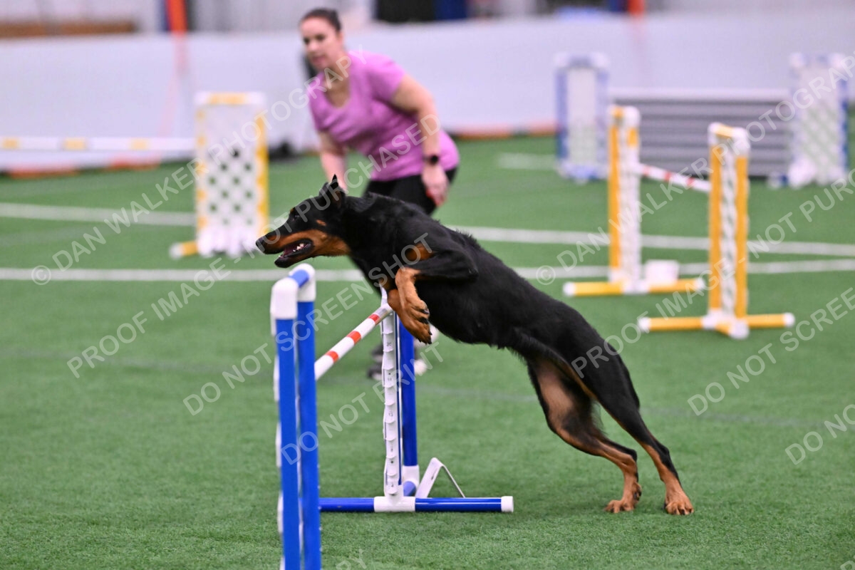 DJW_0632