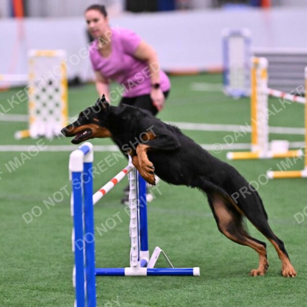 DJW_0632